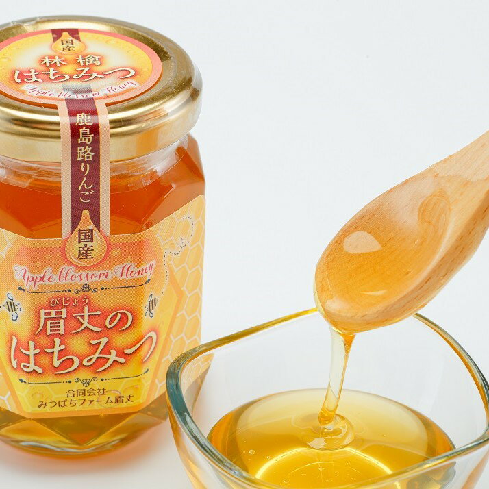 【ふるさと納税】 純度 100％ 天然 りんご 蜂蜜 175g 非加熱 無加糖 無調整 糖度 80度 以上 瓶 能登産 純粋 はちみつ ハニー りんご蜜 林檎 農家 熟成 手作業 こだわり 国産 北陸 石川 能登 羽咋 山 の 恵み 一万円 1万円 一万 1万 10000円