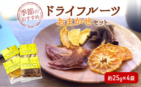 ドライフルーツ お任せセット 砂糖・保存料不使用 ドライフルーツ【約25g×4袋】
