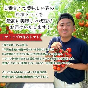冷凍 トマト 中玉 2kg 以上 マキノハニー 枝完熟 トマト トマトップ トマト トマト トマト