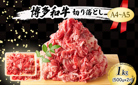 博多和牛 A4〜A5 切り落とし 博多和牛【1kg(500g×2p)】