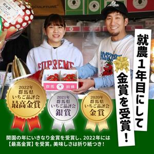 A-157　前橋市産いちご・やよいひめ（贈答用化粧箱入り）約800g｜ ｲﾁｺﾞ いちご 苺 いちご ｲﾁｺﾞ 果物 いちご 旬 いちご いちご