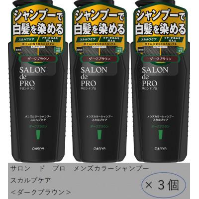 ふるさと納税 稲沢市 ダリヤ　サロン ド プロ　メンズカラーシャンプー　スカルプケア《ダークブラウン》3個セット
