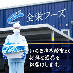 国産！アジフライ（計15枚 5枚×3パック）と アジの干物(計18枚・6枚×3パック) 鯵 アジ あじ 魚 魚介類 海産物 ひもの 開き おかず おつまみ お惣菜 小分け パック 冷凍 セット【数量限