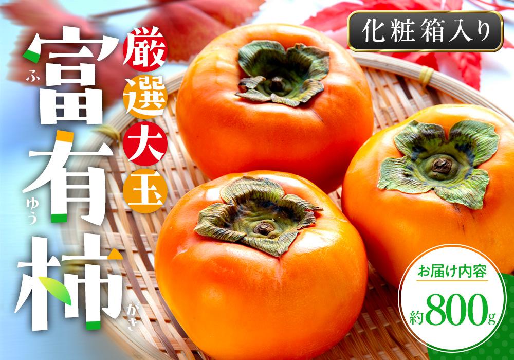 厳選大玉 富有柿 化粧箱 約800g【2025-10月下旬～2025-12月中旬配送】 372013_T006-162J