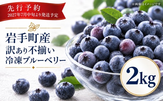 【2027年先行予約】訳あり ブルーベリー 冷凍 不揃い 2㎏ 岩手町産 フルーツ 果物 スムージー ジャム ヨーグルト 2027年7月中旬頃より順次発送