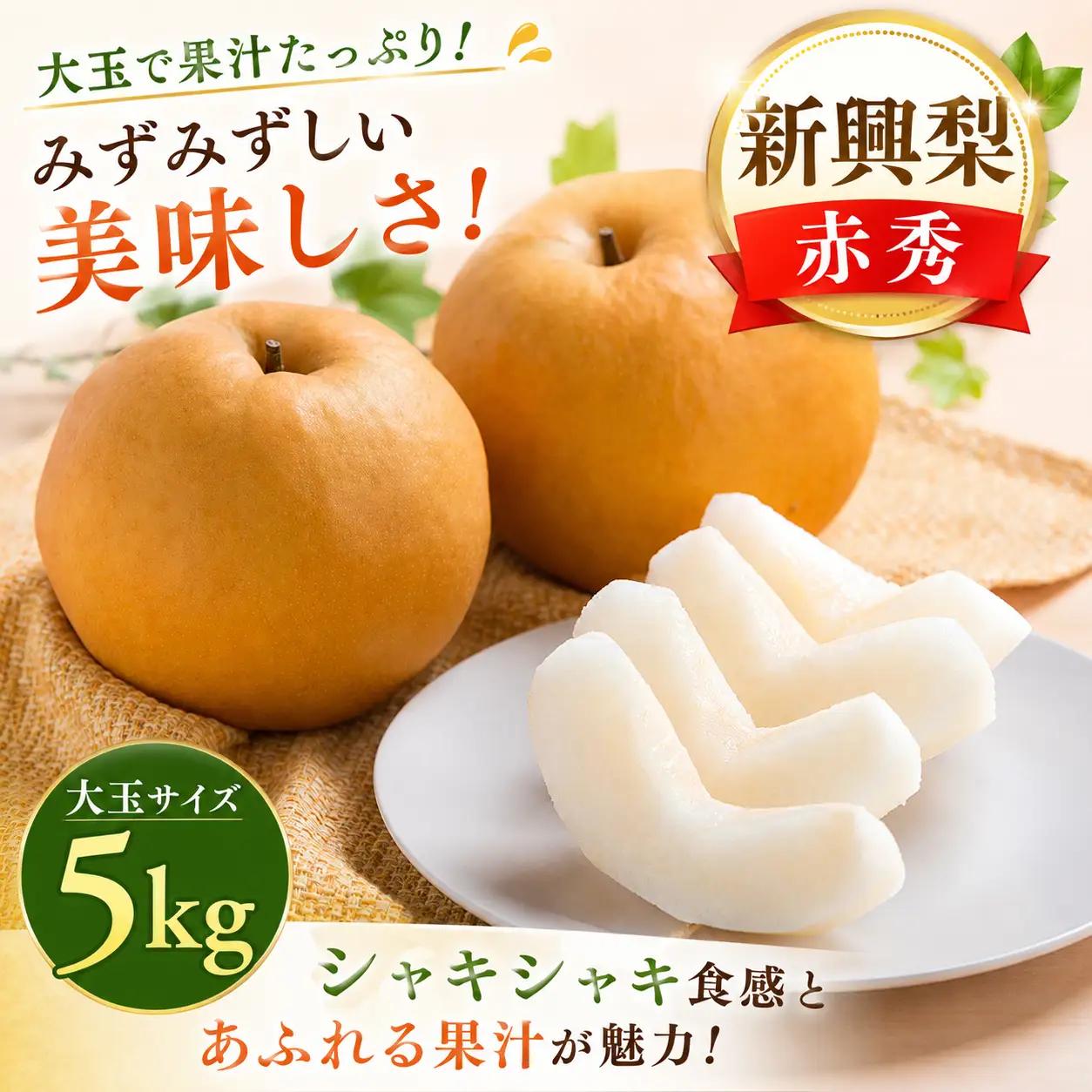 Y042 新興梨(赤秀) 5kg