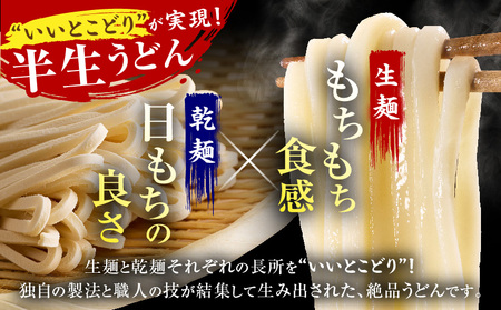 【ゆうパケット】包丁切りさぬきうどん 半生 300g（つゆ付き） | うどん つゆ だし セット おすすめ 人気 名物 料理 出汁セット グルメ うどんセット 半生うどん ギフト 小分け 出汁付き |