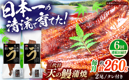【6回定期便】三代目天の鰻蒲焼 2尾 / 鰻 鰻蒲焼 鰻蒲焼き 鰻 鰻蒲焼 鰻蒲焼き[ATAD060]