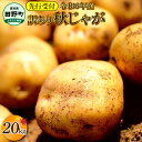 【ふるさと納税】《令和6年11月中旬から順次発送》 〜四国一小さなまちのじゃがいも〜　高知県田野町の大野台地で採れた令和6年産『秋じゃが 』20kg 訳アリ品！　大野台地 秋じゃが じゃがいも デジマ イモ ジャガイモ 芋 いも 訳あり 訳 ポテト 旬