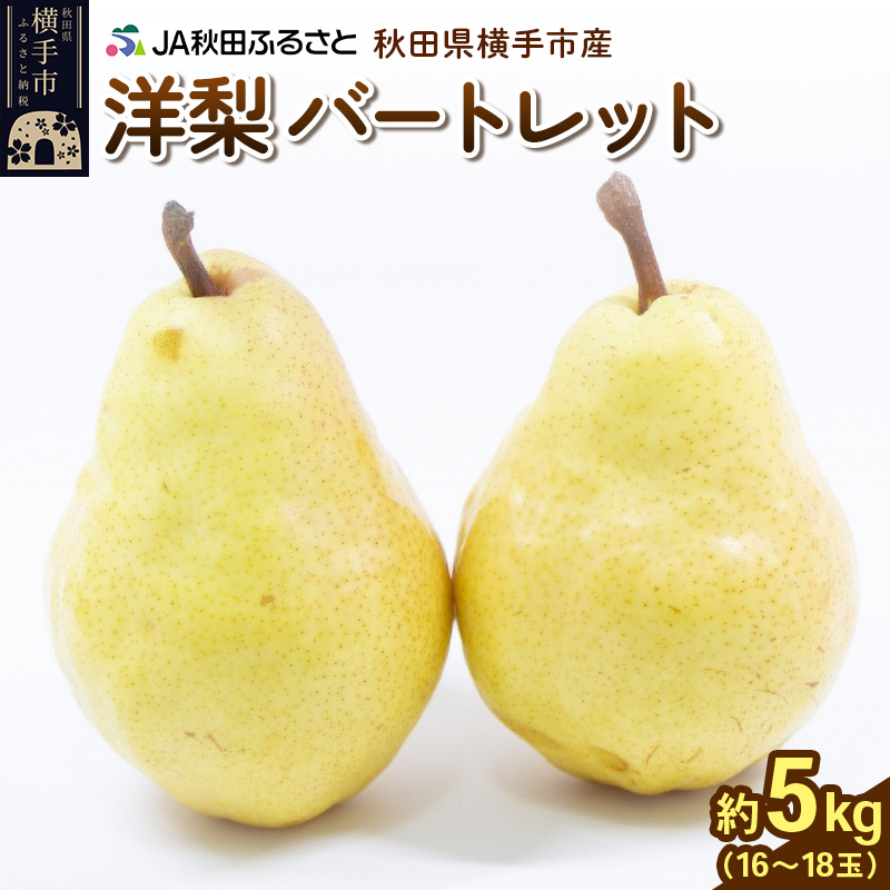 秋田県横手市産 洋ナシ バートレット 約5kg（16～18玉）