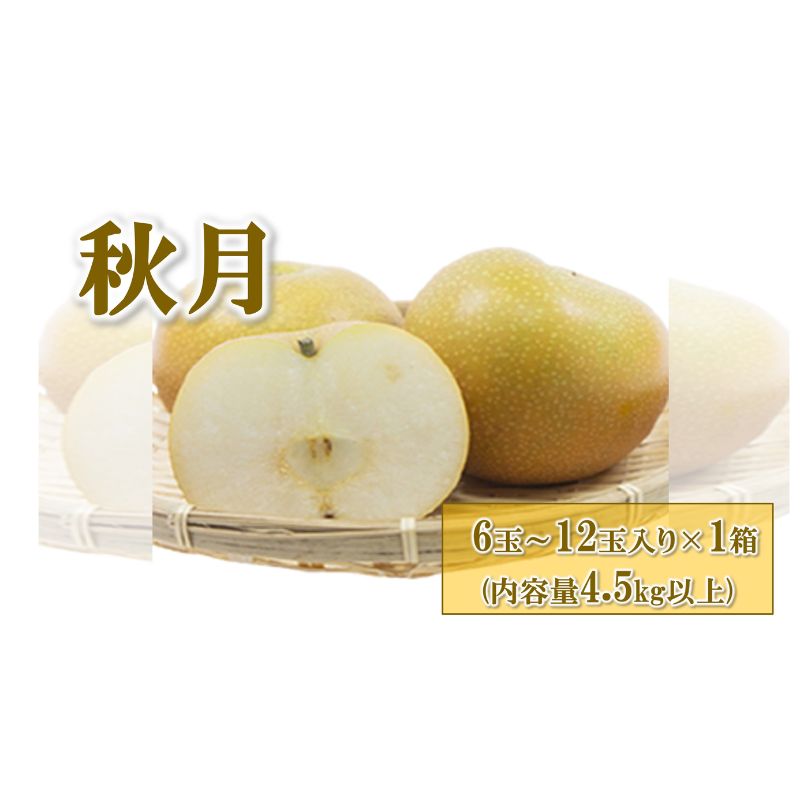 【ふるさと納税】【先行予約】梨(秋月) 6玉～12玉入り×1箱 (4.5kg以上) ※2026年9月上旬～9月下旬頃に順次発送予定