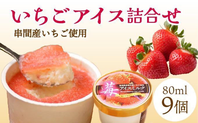 串間市産イチゴ使用！いちごアイス詰合せ(9個)_K004-003