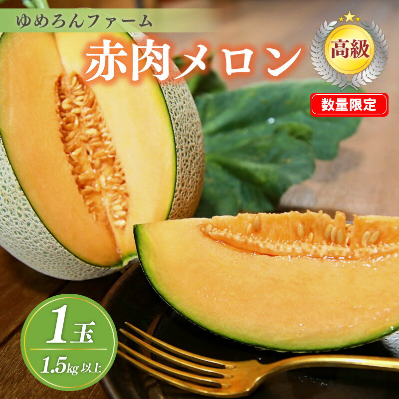【ふるさと納税】【先行予約／数量限定100】ゆめろんファームの赤肉メロン（2026年6月上旬～発送） 国産 高級メロン 贈答 贈答品 贈り物 ふるさと 納税 メロン 赤肉 1玉 ふるさと納税 先行予約 期間限定 ふるさと 納税 フルーツ くだもの 果物