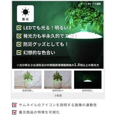 ふるさと納税 豊川市 蓄光防犯砂利　リプラスストーン　1kg　【アースローズ】 |  | 02