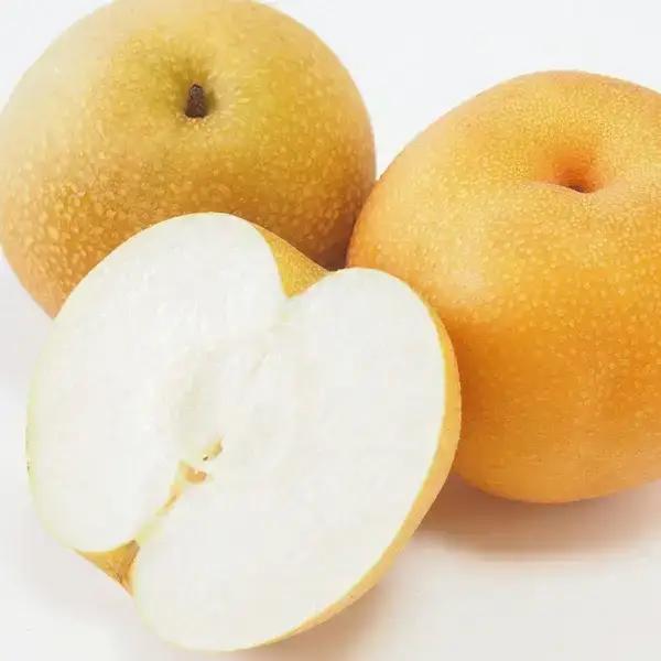 先行予約 幸水 約5kg 和梨 新潟県 三条市 想樹
