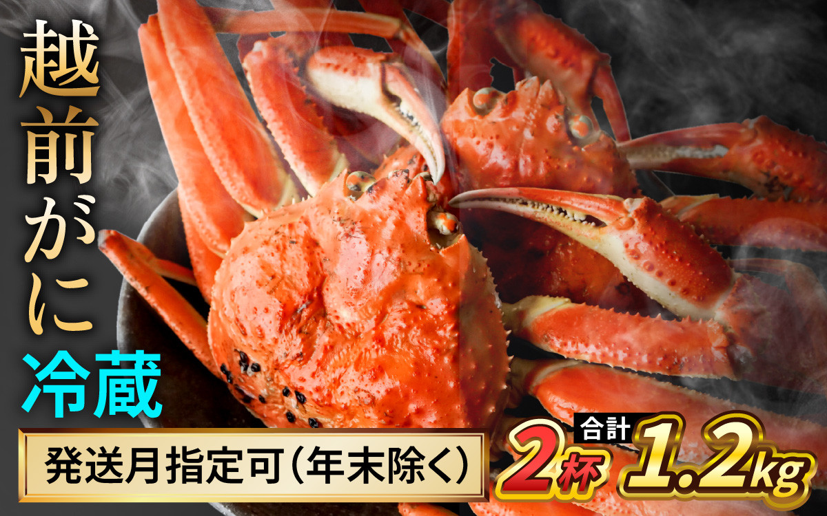 
            【先行予約/11月7日より順次発送】 【希望月指定可】 越前がに 600ｇ×2ハイ / 蟹 ズワイガニ ずわいがに ボイル 冷蔵 小浜市 / まるほ商店 【配送不可地域：北海道・沖縄・離島】[BFCS019]
          