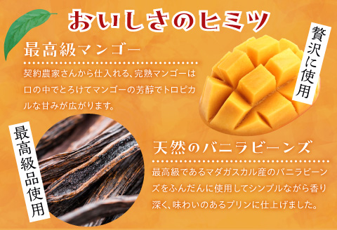 【宮崎産】完熟生マンゴープリンpremium【6個ギフトボックス】