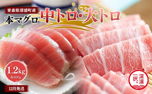 天然本マグロ 中トロ 大トロ 1.2kg 各600g 青森県深浦町産 食べ比べ 冷凍柵 深浦マグロ 刺身 海鮮 鮪 まぐろ【fu-0015-026_12】