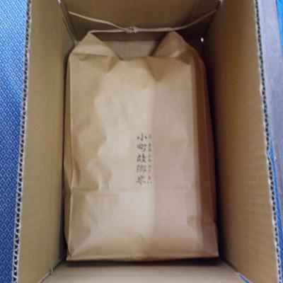 ふるさと納税 秋田市 米 こまち故郷米 あきたこまち 5kg ×1袋 白米 令和7年産|15_kjd-010501 |  | 03