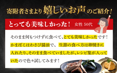 五島列島 ほぐし生節・かまぼこ 6点 鰹 鯖 なまり節 燻製 蒲鉾 詰め合わせ 五島市/テル鮮魚 [PAW002]