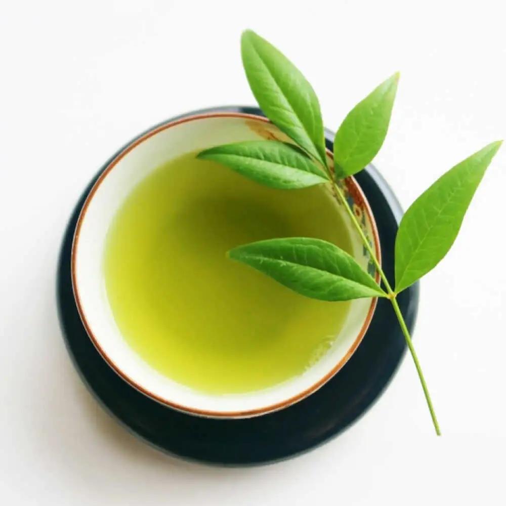八女茶【上】煎茶セット 100g×2袋 [VEH017]