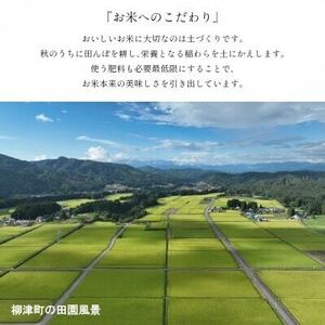 【令和6年産】福島県柳津町産「こしひかり」10kg〈令和7年2月下旬発送予定〉【1560644】