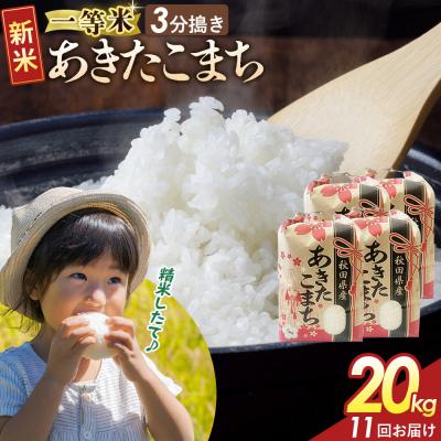 ふるさと納税 大仙市 定期11ヶ月 3分搗き あきたこまち 一等米 20kg 秋田県 R8年|22_kml-042011s | 