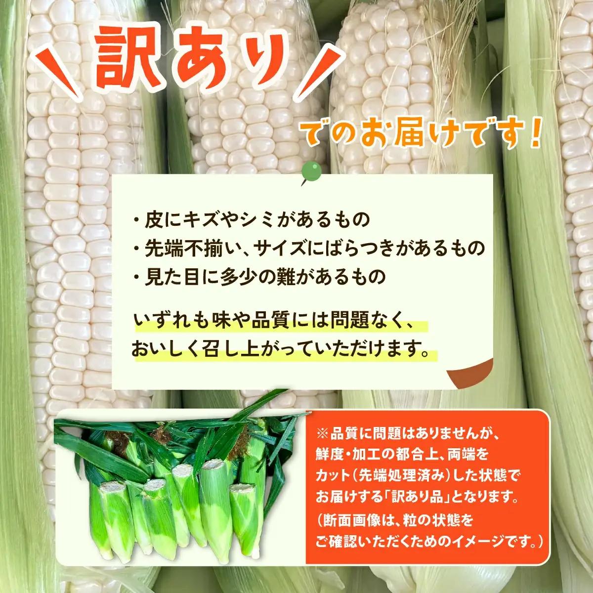 とうもろこし ピュアホワイト 約6kg 茨城県産 トウモロコシ 訳あり