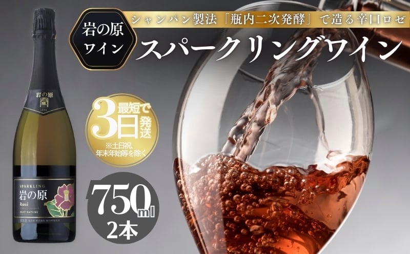 
            ワイン 岩の原スパークリングワイン ロゼ 瓶内二次発酵 2本 （750ml） お酒 岩の原 酒 新潟 上越 最短3日で発送
          