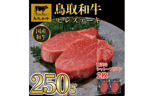 鳥取和牛ヒレステーキ　2枚（250g）364【牛肉 肉 焼肉 焼き肉 やきにく 最高級 ブランド牛 ギフト 贈り物 プレゼント 人気 おすすめ 鳥取県 琴浦町 送料無料】