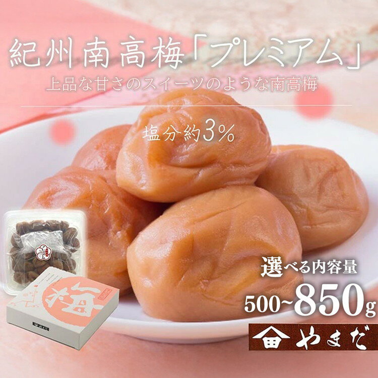【ふるさと納税】＼選べる内容量／紀州南高梅プレミアム塩分約3％