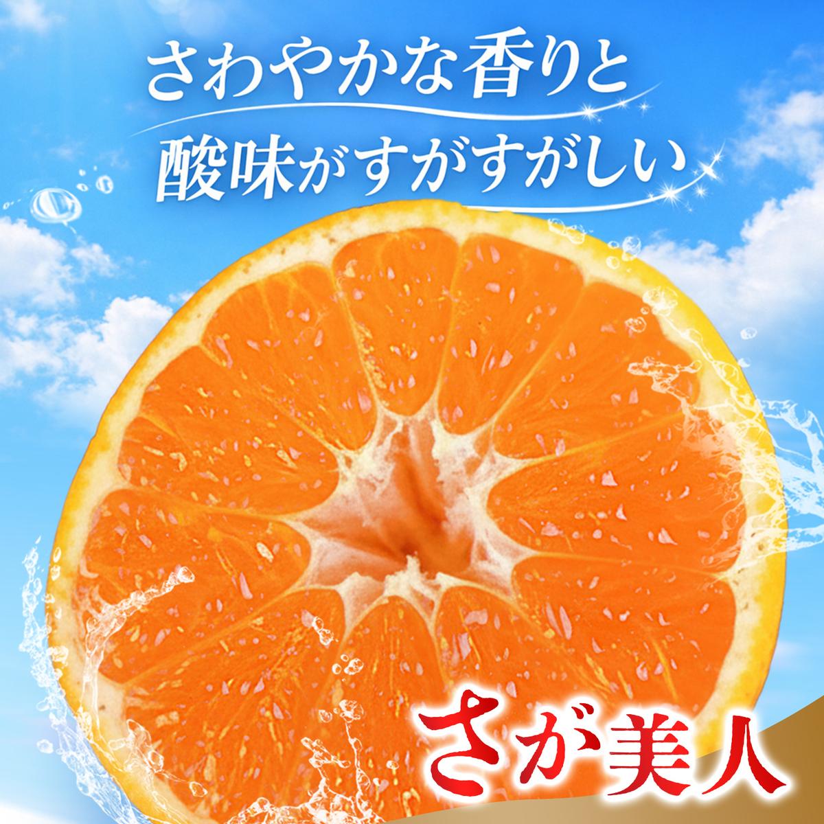 【2026年10月上旬より発送開始】佐賀美人(みかん) 4kg S～2Lサイズ【みかん ブランドみかん 柑橘 酸味 フルーツ デザート】(H116142)