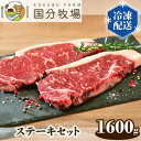 【ふるさと納税】国産 牛肉 ステーキ 1600g 国分牧場 ステーキセット | 埼玉県 東松山市 国産牛 サーロイン リブロース 肩ロース ミスジ お任せ 真空 冷凍 和牛 プレミアム グリル レストランクオリティ 贅沢 ビーフ 肉 美味しい メインディッシュ フード お肉 BBQ 焼肉