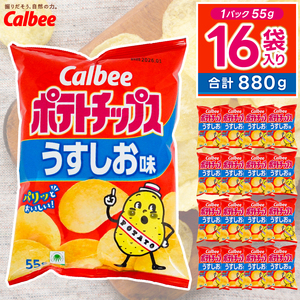 ポテトチップス カルビー 「うすしお味」16袋（55g×16袋）1ケース 総計880g【ポテチ Calbee うすしお うす塩 セット 菓子 ポテト チップス スナック おやつ しお じゃがいも ジャガイモ お取り寄せ まとめ買い 詰め合わせ 詰合せ 人気 送料無料】 (BG026)