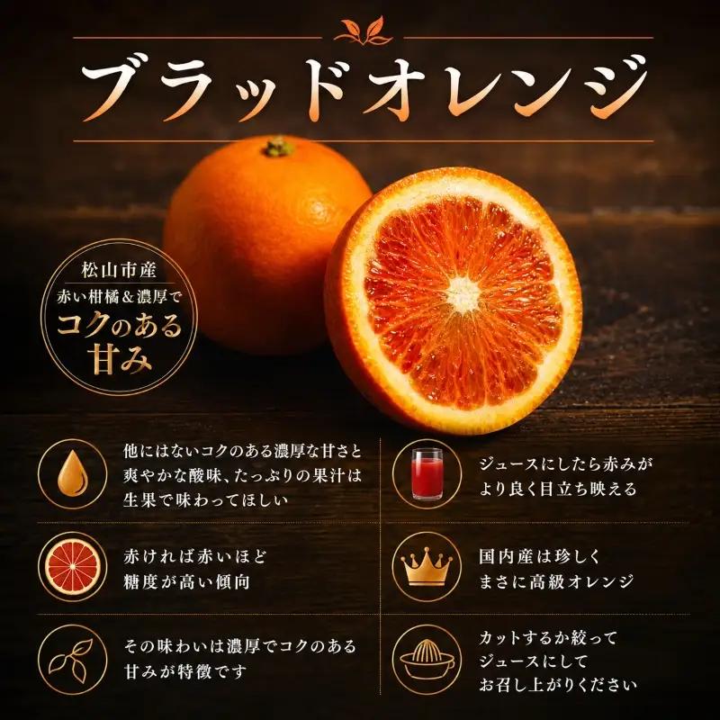 【2027年3月中旬頃から順次発送】  ブラッドオレンジ 3kg ｜愛媛 タロッコ 果物 ビタミン 健康 フルーツ 柑橘 農家直送 産地直送 数量限定  松山  くだもの 果実 有名 みかん 愛媛県産