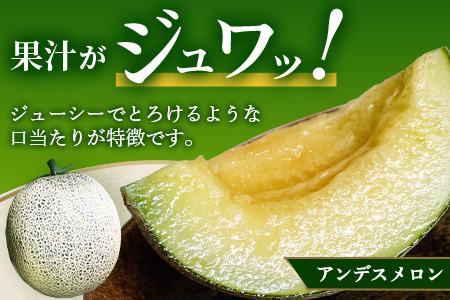 【2025年4月下旬発送開始】【先行予約】熊本県産 ホームランメロン アンデスメロン 食べ比べ 計2玉 約2.5kg以上 メロン フルーツ 果物 083-0625