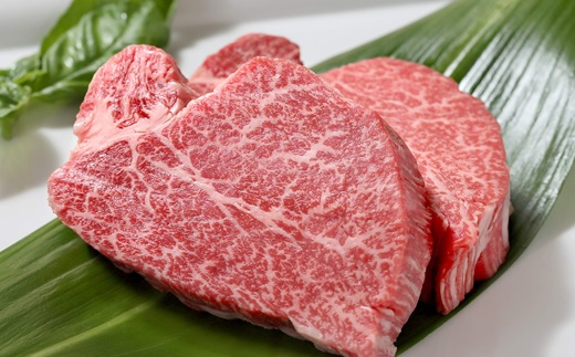 丹波牛ステーキ満喫セット ( 和牛 黒毛和牛 京都 丹波 丹波牛 牛肉 ステーキ サーロイン A5 フィレ ランプ 霜ふり 赤身 赤身肉 ) [069IZ001]