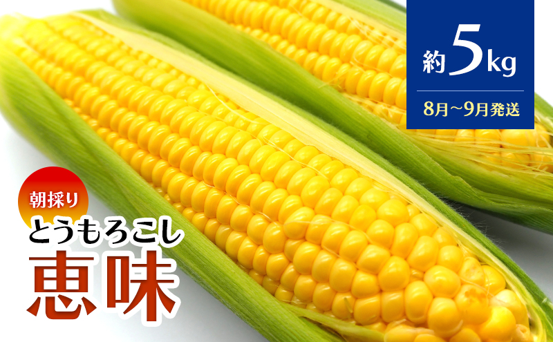 【数量限定】 8月～9月発送 岩木山麓 朝採り とうもろこし 恵味 約5kg（10～12本程度） 弘前市産 青森 きみ