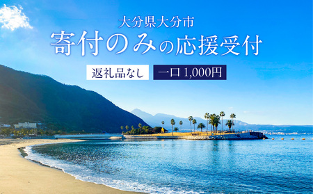 Z03001 大分県大分市 返礼品なし（寄附のみの受付となります） 一口1,000円