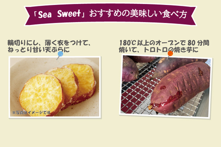  大洗産 さつまいも 紅はるか 2.5kg （8本前後） 「Sea Sweet」 長期熟成 茨城県産 サツマイモ 土付き 生芋 芋 さつま芋 薩摩芋 甘藷 べにはるか_CF002