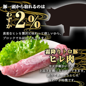 鹿児島県産霜降りトロ豚 極みヒレ肉 (600g) 豚肉 冷凍 ヒレ肉【KNOT】 A622