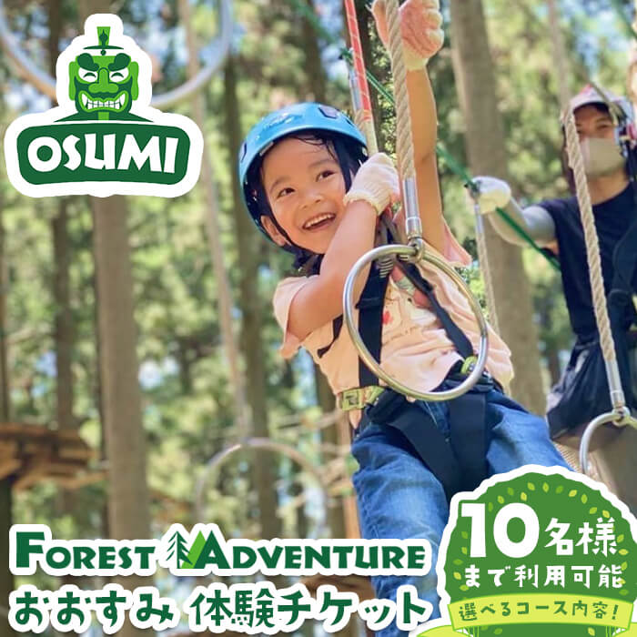 【ふるさと納税】＜選べるコース内容！＞フォレストアドベンチャー・おおすみ グループ体験チケット アドベンチャーコース or キャノピーコース (最大10名様) 体験 体験チケット チケット フォレストアドベンチャー アクティビティ【フォレストアドベンチャー・おおすみ】