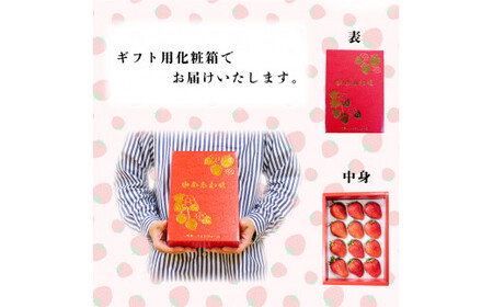 いちご やよいひめ 星の煌めき 12～15個 化粧箱入 大粒 果物 フルーツ 贈答品 プレゼント ゆめあわせ 農家直送 徳島県 阿波市