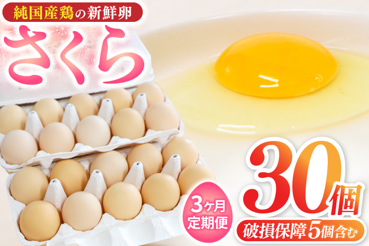 【選べる定期便】たまご 卵 玉子 鶏卵 純国産鶏 さくら 純たまご30個 破損保証5個含む 採れたて 新鮮 卵 農地直送 3ヶ月 定期便 卵料理 卵焼き 卵かけご飯 オムレツ 朝食（AJ028)