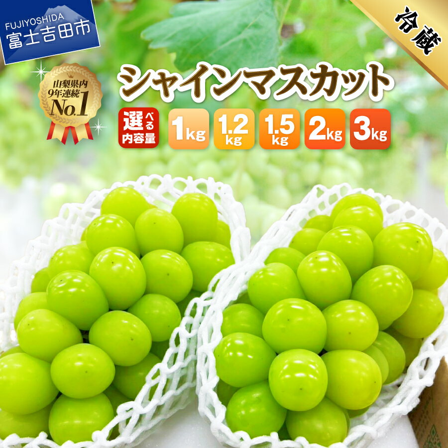 山梨県 シャインマスカット お楽しみセット 2房1kg