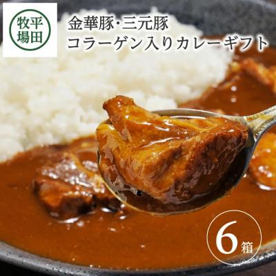 ふるさと納税 酒田市 【平田牧場】日本の米育ち◆金華豚・三元豚コラーゲン入りカレーギフト