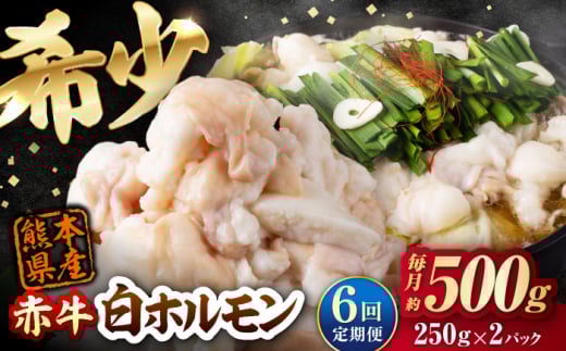 【全6回定期便】 赤牛 ホルモン 500g（250g×2パック） / お肉 肉 牛肉 あか牛 小腸 シロホルモン もつ 熊本県産 冷凍【五右衛門フーズ熊本店】 [AYBV038]