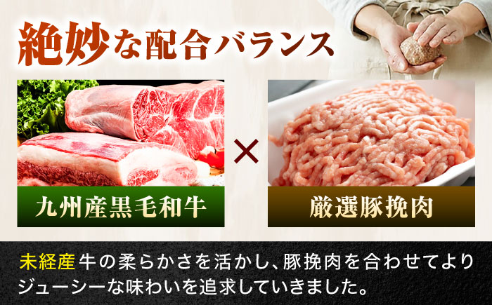 【全3回定期便】 唐津バーグ 計4.2kg（140g×10個×3回） / ハンバーグ 牛肉 / 佐賀県 / いきや食品株式会社 [41ABAH002]