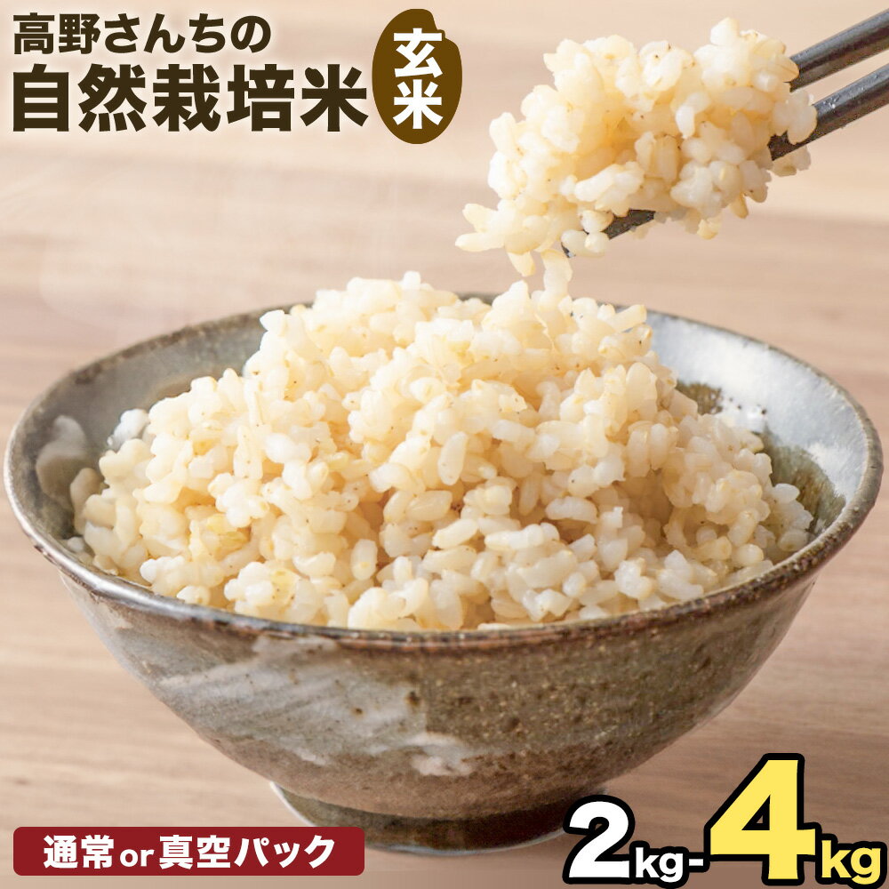 【ふるさと納税】令和7年産 高野さんちの自然栽培米 玄米 選べる 内容量 2kg 4kg 米袋タイプ 通常パッケージ または 真空パック 株式会社有機農場《30日以内に出荷予定(土日祝除く)》熊本県 菊池市 米 お米 ヒノヒカリ ひのひかり 自然栽培米 七城物語 熊本県産