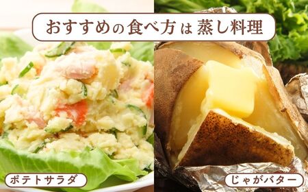 ＜先行予約＞じゃがいも きたあかり 5kg | じゃがいも じゃがいも じゃがいも じゃがいも じゃがいも